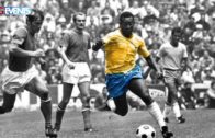 Da Torino all’Australia per solidarietà