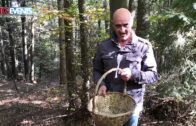 “Le folli idee di Lucio Gardin” il Carnevale