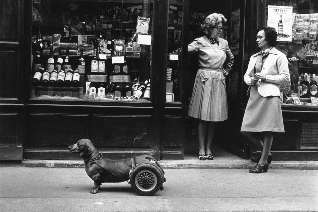Mostra …Robert Doisneau Mostra …Robert Doisneau