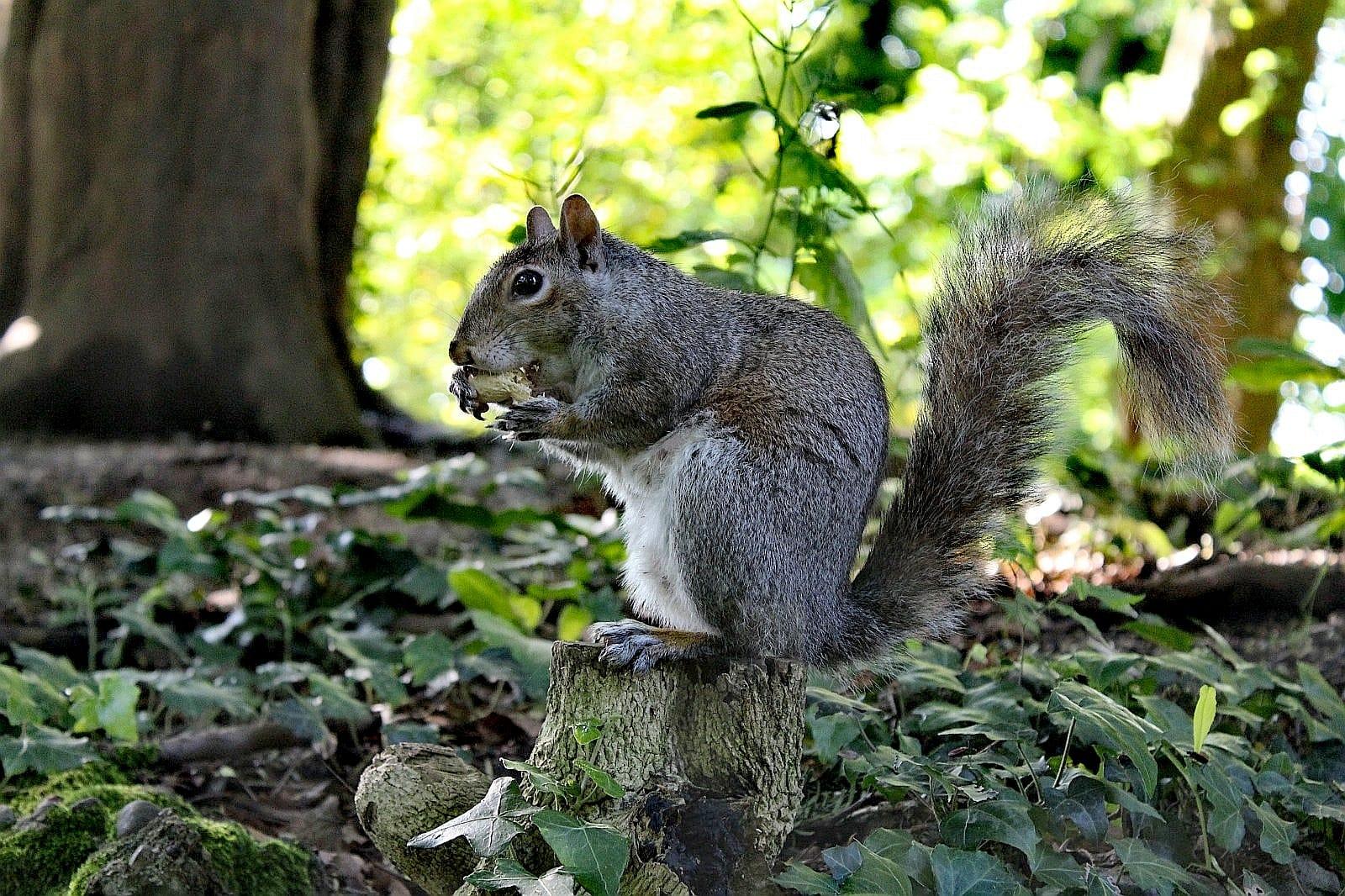 Fotografie…e non solo