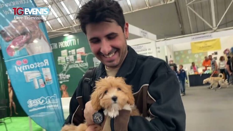 Quattrozampeinfiera 2025