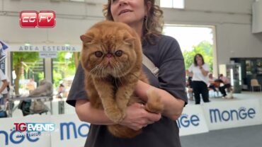 Pet in Fiera Pavia terza parte