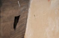 Dal 10 ottobre al 31 ottobre  2026, lo spazio espositivo LeoGalleries di Monza apre le porte a «La Poesia della Pittura», mostra personale dedicata a Mario Raciti.