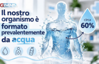 E brava Giulia, melanoma