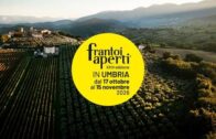 29ª edizione di Frantoi Aperti® in Umbria dal 17 ottobre al 15 novembre 2026